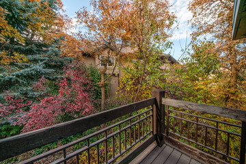 View of leafy trees and house from the terrace of a house