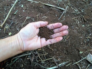 hand holding soil