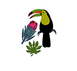 паттерн тукан