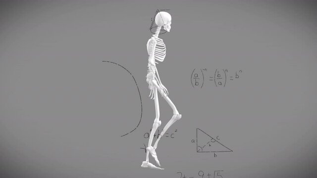 Animation of mathematical equations over skeleton