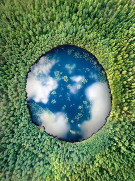 Vertical Earth Lake surrounded by alpine forest. Eco image with cloud reflection resembling the planet
