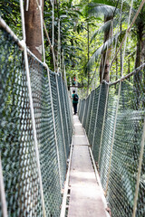 Tourist walking on canopy at Taman Negara National Park rainforest
