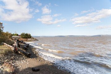 Tacoma, Washington shore with logs and tree trunks