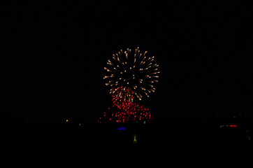 Fireworks Exploding in the Night Sky