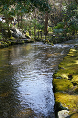 Fototapeta na wymiar 上賀茂神社の境内を流れる小川