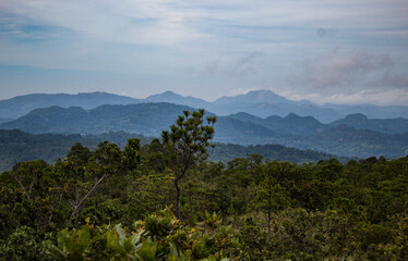 Cerro de coyotes, Conchagua, Oriente, cerros, montañas de pino, vista panorámica
