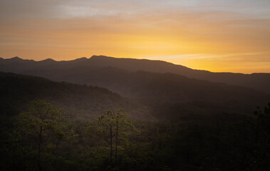 Amanecer en Honduras, los bolsones, luz del nuevo día, montañas de coníferas, pinos, potreros, ganados, pumas,  cerros de lobos