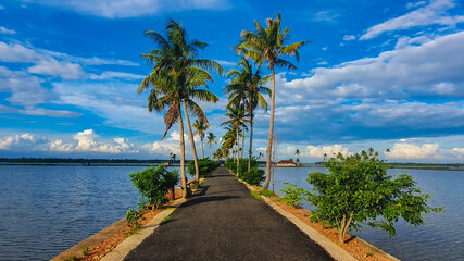 A beautiful evening by the Palm trees and backwaters