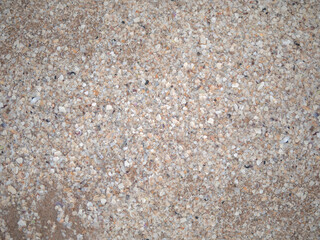Abstract background of many break shells on the sand beach
