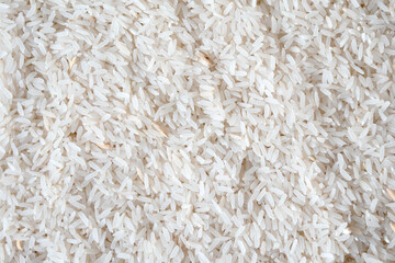 full frame rice with paddy