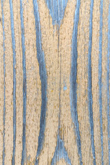Fragment of an old painted board