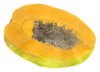 Papaya watercolor illustration isolated on white background. Summer fruit concept.