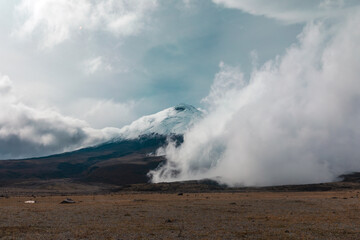 Cotopaxi National Park, Ecuador 