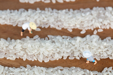 Rice and working doll farmers