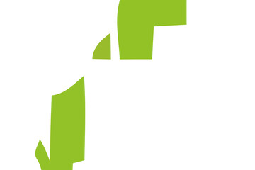 Green color background. Abstract vector. Modern geometric design. 3D digital illustration.