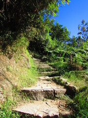 Explorando las Ruinas de Machu Picchu, Maravilla del Mundo, Perú.