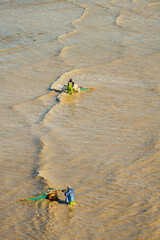 Fishermen at work along the mudflat in Xiapu county, China's Fujian province 