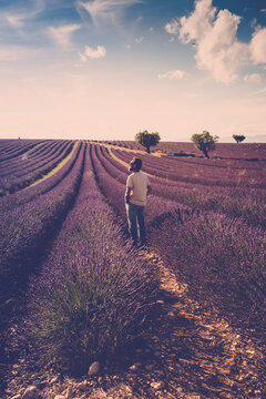 One standing man look the lavender field around him - human and beautiful travel scenic nature outdoors - france provence valensole location - fragrance and parfums production business