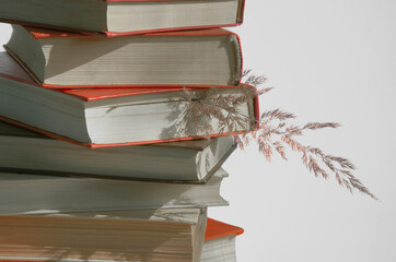 A stack of old books on a light background.