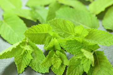 ミントの葉
