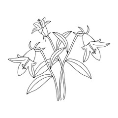 Black Vector illustration of bouquet bell flowers with leaves isolated on a white background