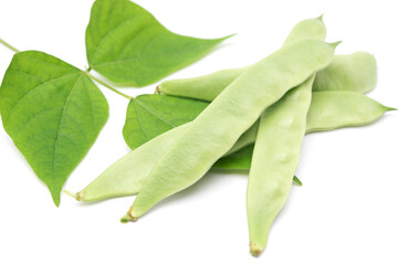 Fresh organic morocco beans with leaves isolated on white background