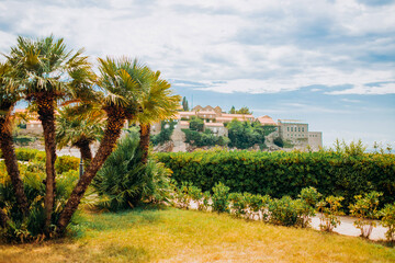 Fototapeta na wymiar Palm trees near Sveti Stefan island, Montenegro