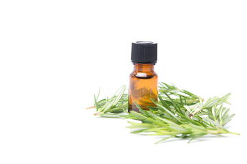 Bottle glass of essential rosemary oil with rosemary branch isolated on white background. Herbal oil concept