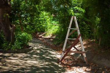 A style ladder in garden with copy space text