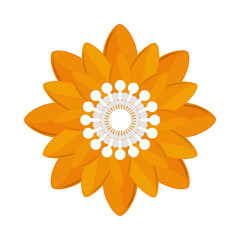 yellow flower decoration