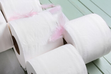Rolls of toilet paper and feathers on color wooden background, closeup