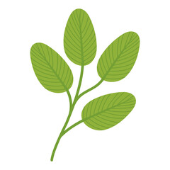 Naklejka premium jagged leaves design