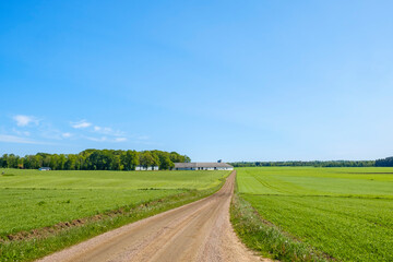 Fototapeta na wymiar Long straight dirt road in a rural landscape with a farm