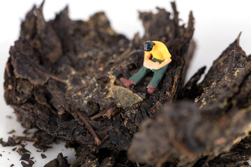 A doll model reading a book on black tea