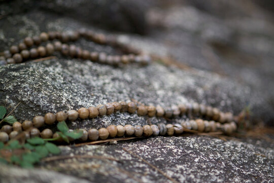 buddhist rosary