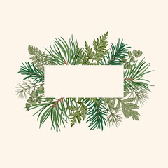 Fototapeta na wymiar Botanical rectangular banner with fir and pine branches, fern and leaves. Christmas design. Holiday frame with greenery and conifers.