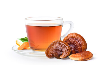 Red Reishi Mushroom (Lingzhi) tea isolated on white.