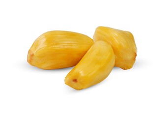 Jackfruit (Artocarpus heterophyllus) isolated on a white background