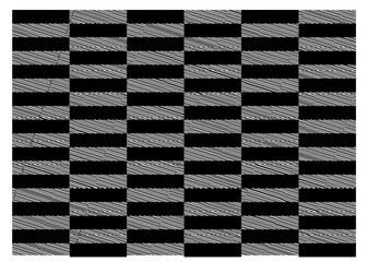 black and white checkered background.