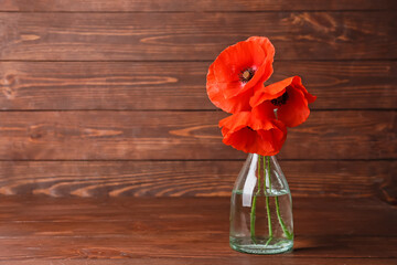 Vase with beautiful red poppy flowers on wooden background