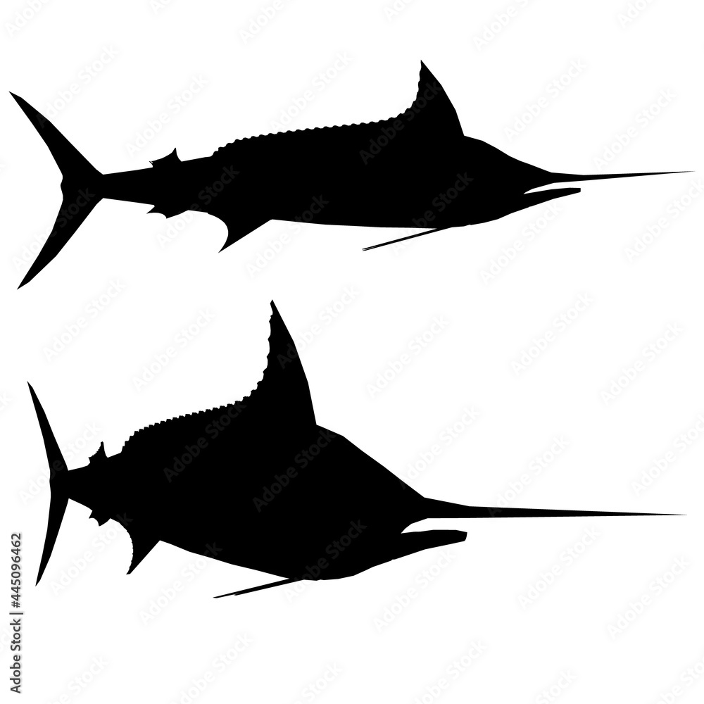 Poster silhouette of a fish with a pointed nose isolated on a white background. side view. vector illustrat