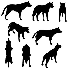 Set with silhouettes of a dog in different positions isolated on a white background. Vector illustration