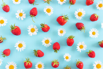 Bright summer background made with natural chamomile flowers and strawberry on blue. Summertime wallpaper. Top view Flat lay