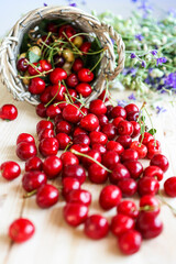 Ripe, juicy red cherries on a wooden table. Summer background with flowers and fruits. Harvest berries in a basket.