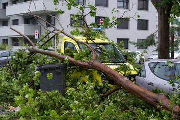 Damaged cars because of the nightly thunderstorm by shattered tree at city of Zurich. Photo taken...