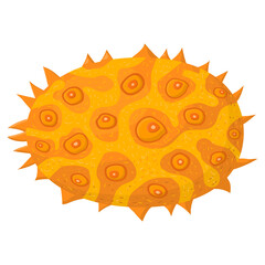 Fresh whole yellow kiwano fruit isolated on white background. Summer fruits for healthy lifestyle. Organic fruit. Cartoon style. Vector illustration for any design.