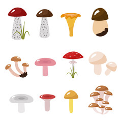 Autumn collection of mushrooms. Cartoon pictures podosinovik, podberezovik, syroezhka, ginger, fly agaric. Vector illustration isolated. For design or decoration