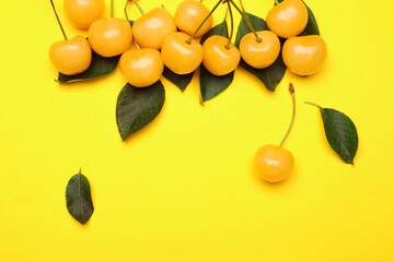 Tasty sweet cherries on color background