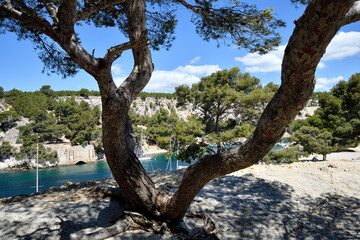 Rêve de calanque