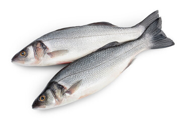 Sea bass fich isolated on white background with clipping path. Top view. Flat lay